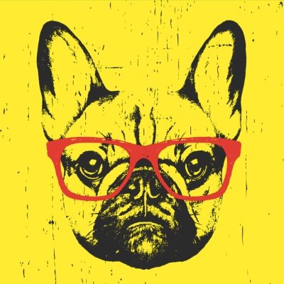 Cahil Sentez's profile picture
