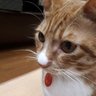 そらまめ profil fotoğrafı