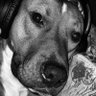 Agnostic of war's profile picture