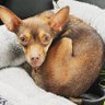 Profilbild von reply guy