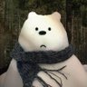 Profilbild von 翼🇨🇳