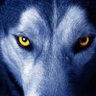 Фото профиля Wolf