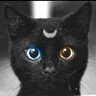 Miquel ö profil fotoğrafı