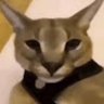 karna's profile picture