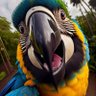Фото профиля El loro cotorro