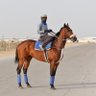 عبدالله حسن محمد 的头像