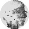 نادر. profil fotoğrafı