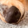 うーさん profil fotoğrafı