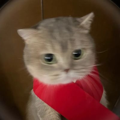 Iris10222's profile picture