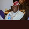 ambassador to European Union to nigeria 的头像