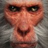 Profilbild von Enrique Santos