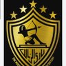 rana m.habib's profile picture