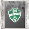 اهلاوي الهوى #عضو_شرف's profile picture