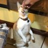 Bender profil fotoğrafı