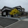 Фото профиля Michel Tsurumoto