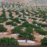 Profilbild von الساهر العماني