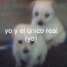 Unicornio Negro's profile picture