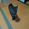 みー 的头像