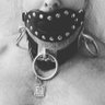 Profilbild von leather pet aka “lp”