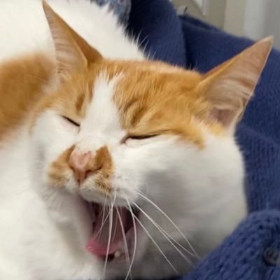 pasinpasin's profile picture