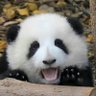 sunyi 的头像