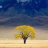 Фото профиля rapeseed0707