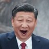 華☭帝's profile picture