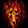 gavin toney's profile picture