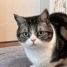 Tony 的头像