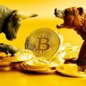 Profilbild von Crypto Doctor (GP)