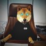 Crypto Fans Club ๐จ's profile picture