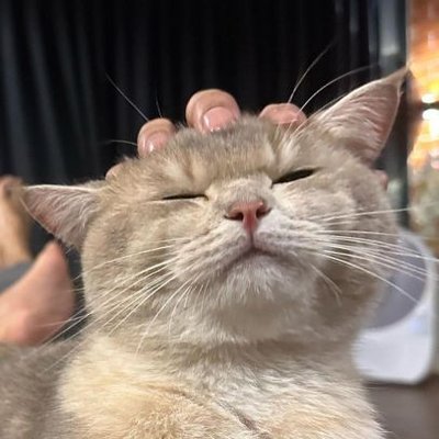 Srodullv_'s profile picture