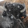 Фото профиля GetWealthyFarmer