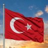 Ergün's profile picture