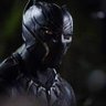 Blake J.'s profile picture