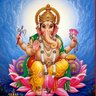 Kishan kuliyal's profile picture