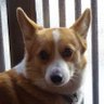 Profilbild von eriko