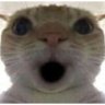 Profilbild von Unpansito
