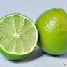 Green Citrus🔞 的头像