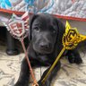 EpikZarbylol's profile picture