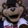 Sam Cohen's profile picture