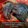 bratemili.maranata 🇷🇸 1244 ☦️☦️☦️ СПЦ's profile picture