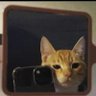 Sherriiiii profil fotoğrafı