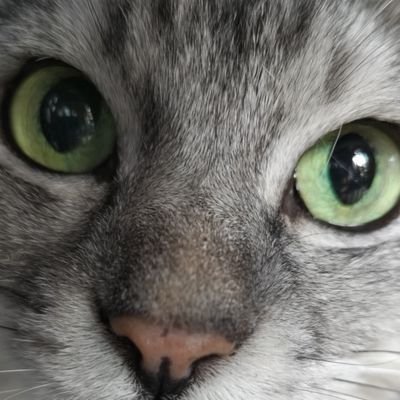 on2taro1's profile picture
