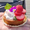 Profilbild von おたま