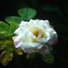 Фото профиля iwanonel