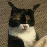 Mylo_Xch's profile picture