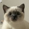 Profilbild von JimmyJiy