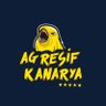 Agresif Kanarya! 🐤 FENERBAHÇE ULAN!'s profile picture