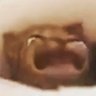 yeeeeeehawwww profil fotoğrafı